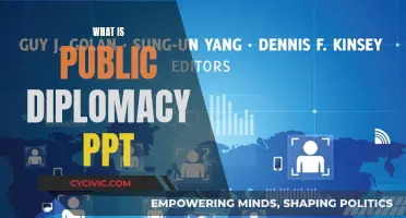 The Art of Public Diplomacy: A Guide
