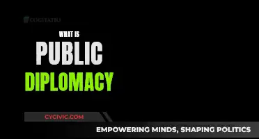 Understanding Public Diplomacy: A Global Engagement Strategy