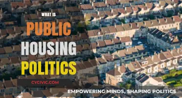 Understanding Public Housing Politics: Policies, Power, and Community Impact