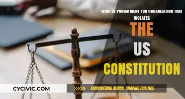 Punishments for Violating the US Constitution: What Organizations Face