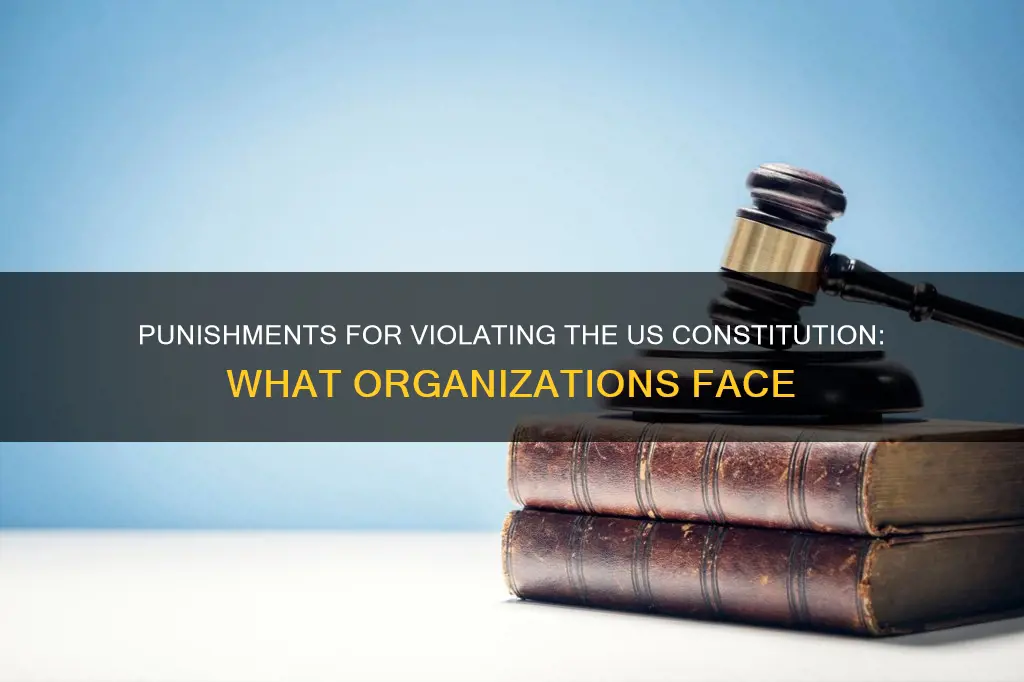 what is punishment for organization that violates the us constitution