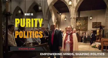 Understanding Purity Politics: Origins, Impact, and Modern Implications Explained