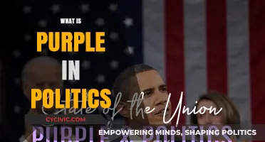 Purple Politics Explained: Understanding the Blend of Red and Blue Ideologies