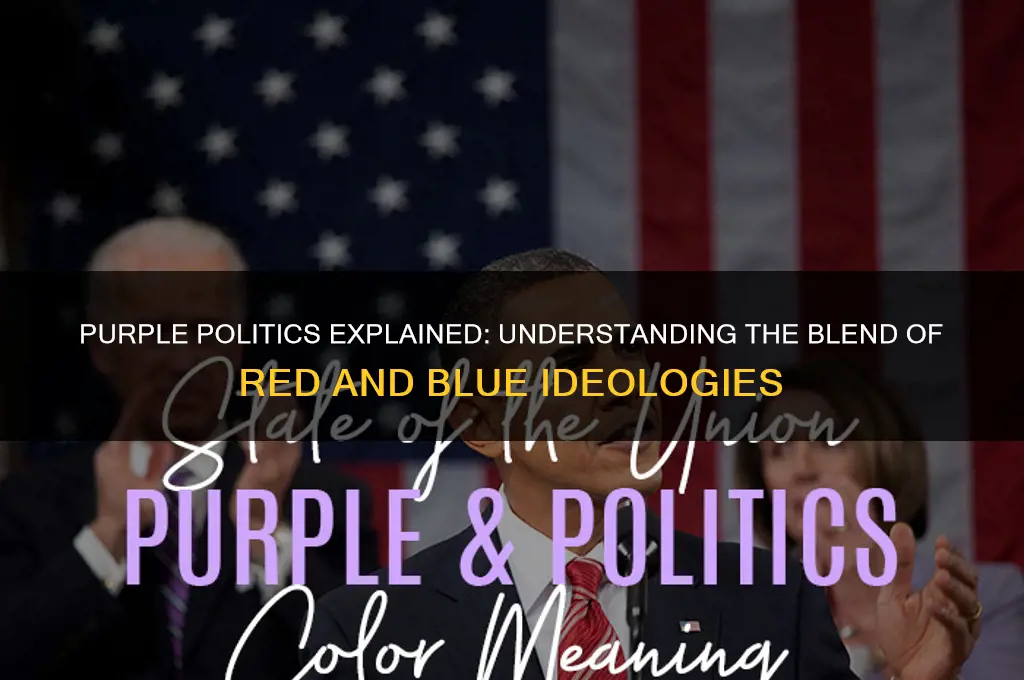 what is purple in politics