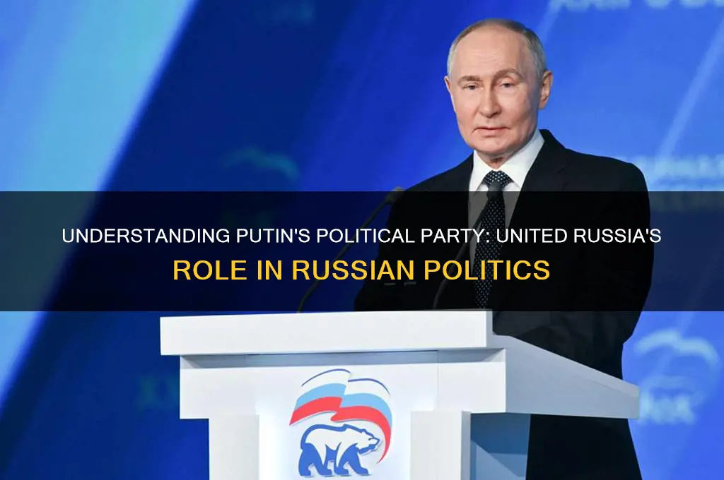 what is putin political party