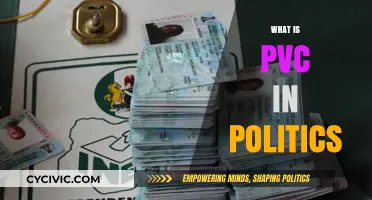 Understanding PVC: Its Role and Importance in Political Processes
