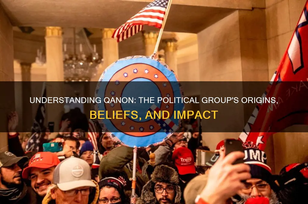 what is q political group