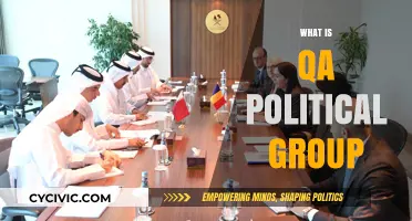 Understanding the QA Political Group: Origins, Goals, and Influence