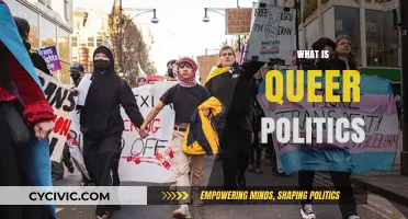 Understanding Queer Politics: Identity, Resistance, and Social Transformation Explained