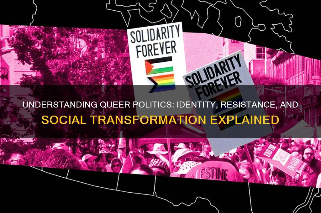 what is queer politics