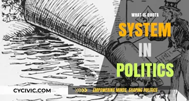 Exploring the Quota System: Representation and Politics