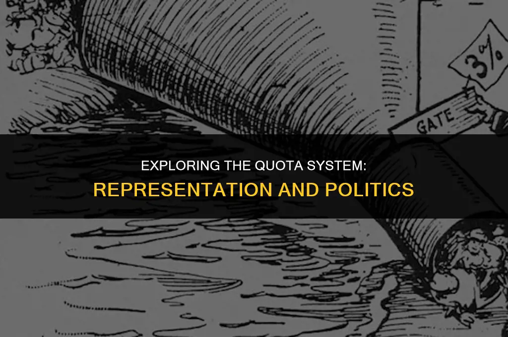 what is quota system in politics