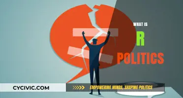 Understanding r/Politics: A Comprehensive Guide to the Subreddit's Dynamics