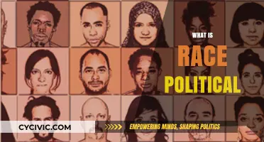 Understanding Race Politics: Identity, Power, and Social Justice Explained