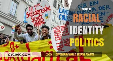 Understanding Racial Identity Politics: Power, Representation, and Social Justice