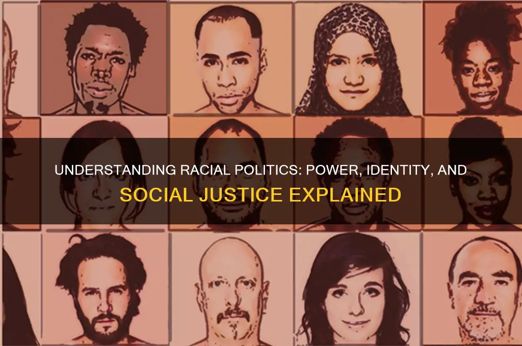 what is racial politics