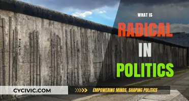 Understanding Radical Politics: Origins, Impact, and Modern Implications Explained