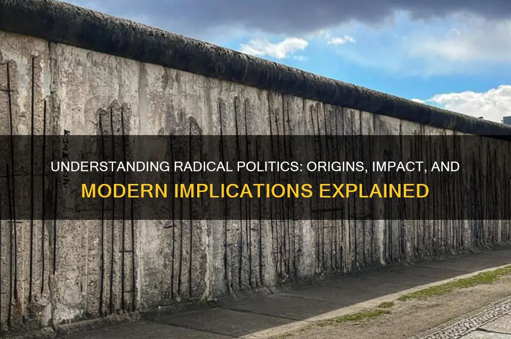 what is radical in politics