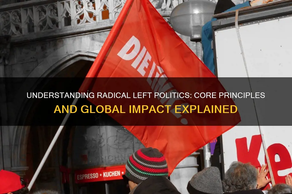 what is radical left politics