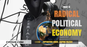 Understanding Radical Political Economy: A Critical Approach to Capitalism and Power