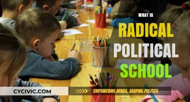 Understanding Radical Political Schools: Ideologies, Goals, and Impact Explained
