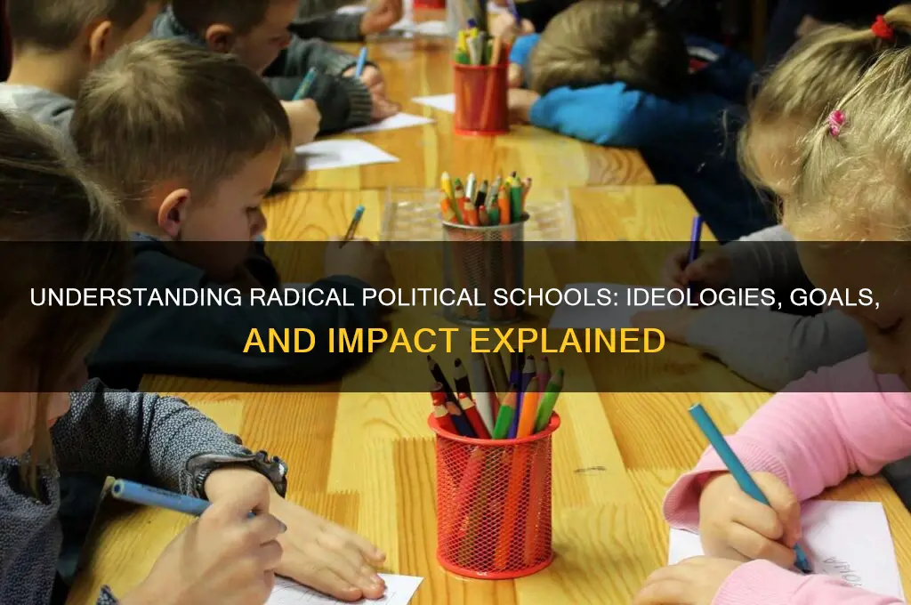 what is radical political school