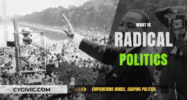 Understanding Radical Politics: Origins, Ideologies, and Modern Movements Explained