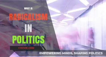 Understanding Radicalism: Political Extremism, Ideologies, and Societal Impact Explained