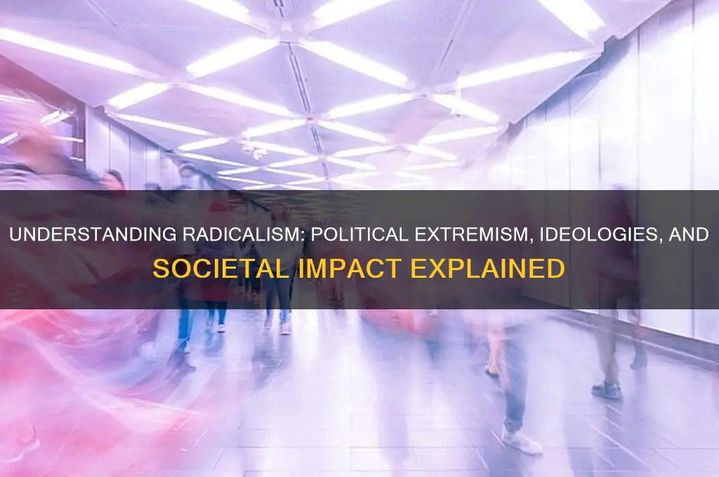 what is radicalism in politics