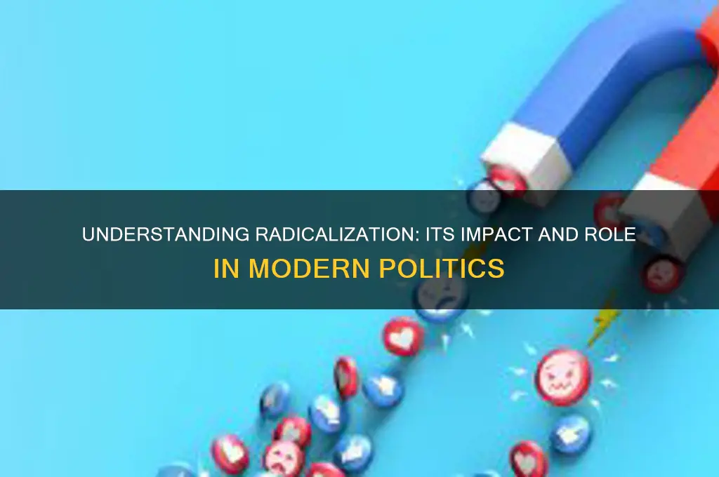 what is radicalization in politics