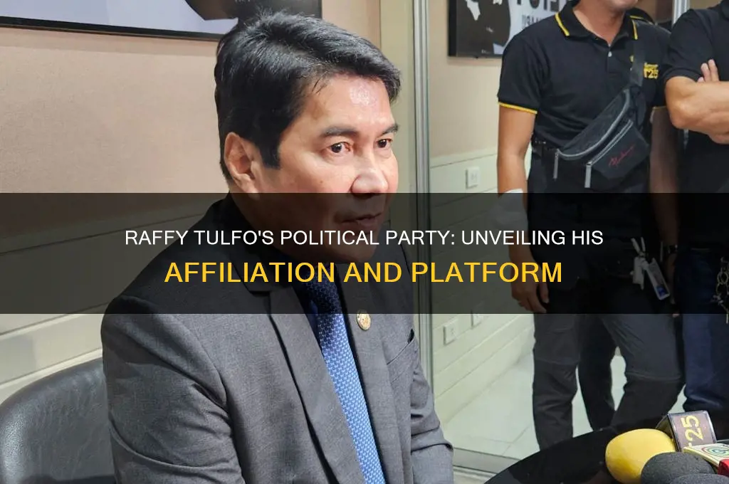 what is raffy tulfo political party