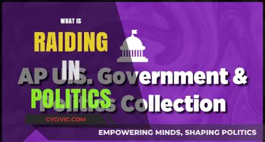 Understanding Political Raiding: Tactics, Impact, and Historical Context