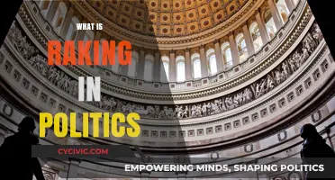 Understanding Raking: Political Tactics, Media Influence, and Public Perception