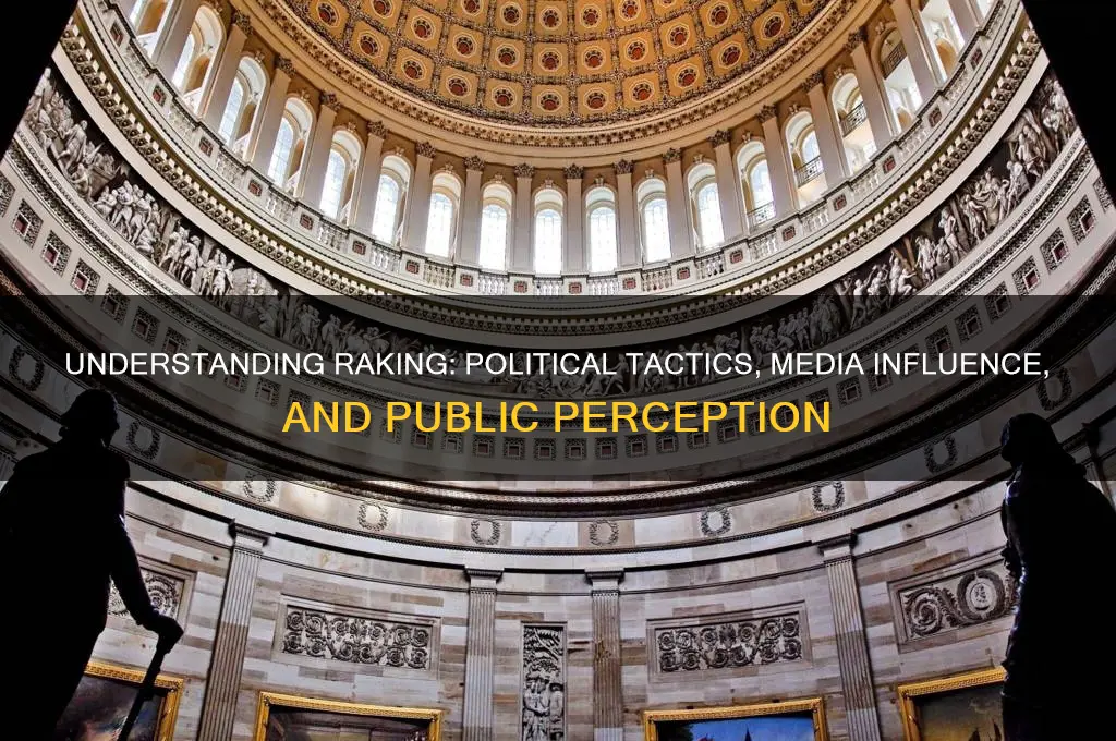 what is raking in politics