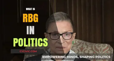 Understanding RBG's Legacy: Her Political Impact and Influence Explained