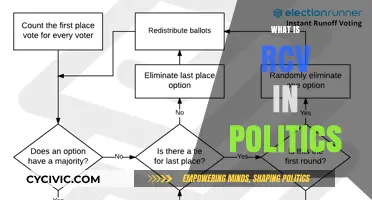 Understanding Ranked Choice Voting: A Comprehensive Guide to RCV in Politics