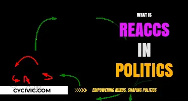 Understanding Reaccs: Political Reactions Shaping Modern Policy and Discourse