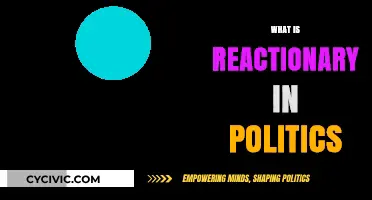 Understanding Reactionary Politics: Origins, Beliefs, and Modern Implications