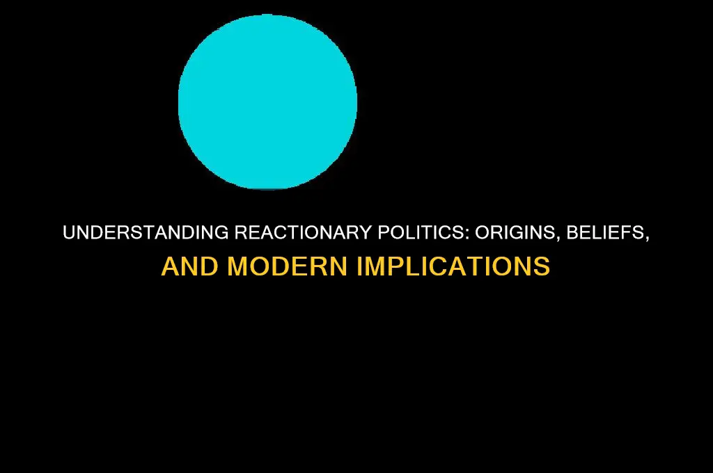 what is reactionary in politics