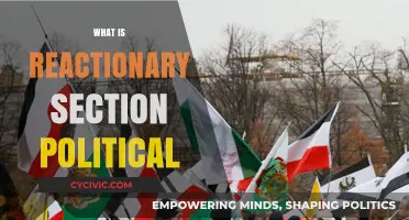 Understanding Reactionary Politics: Core Beliefs, Impact, and Modern Influence