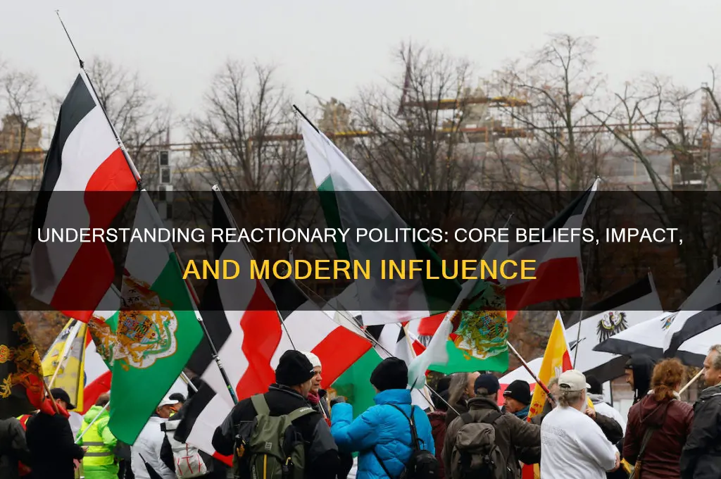 what is reactionary section political