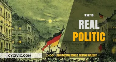 Understanding Realpolitik: Power, Pragmatism, and Political Realism Explained