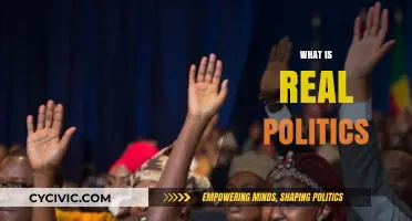 Understanding Real Politics: Power, People, and Practical Governance Explained