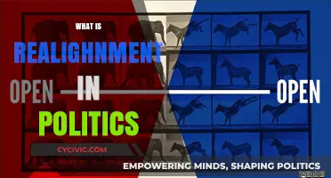 Understanding Political Realignment: Shifts, Causes, and Historical Impact