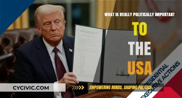 Unveiling the Core Political Priorities of the United States