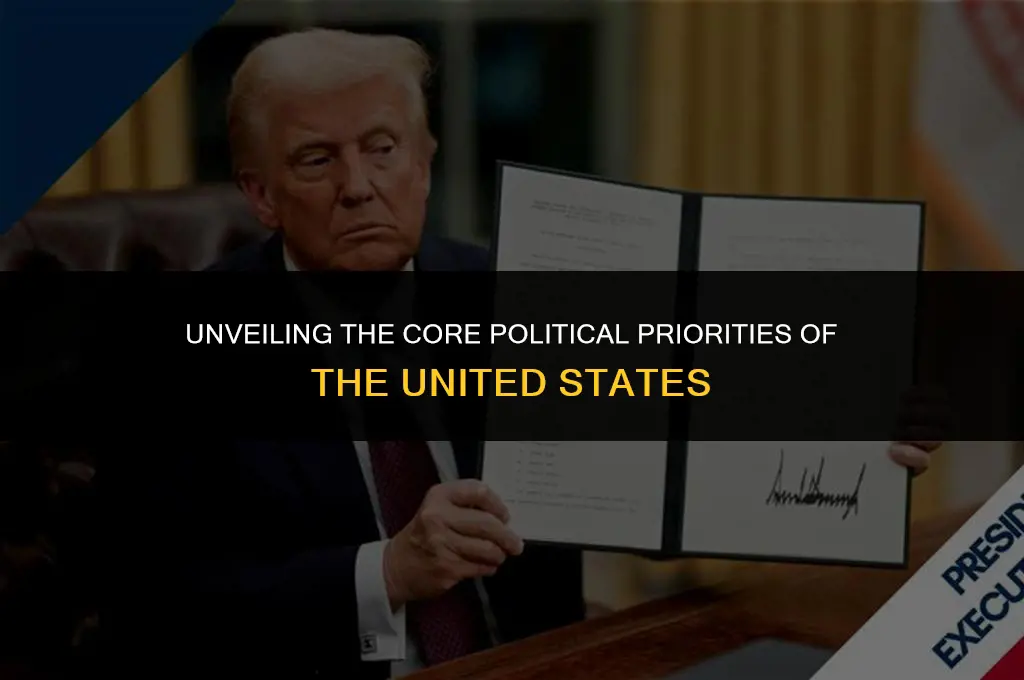 what is really politically important to the usa