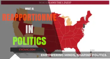 Understanding Reapportionment: How Political Power Shifts in the U.S