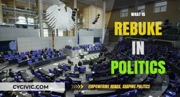Understanding Political Rebuke: Its Role, Impact, and Strategic Use in Governance