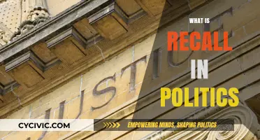 Understanding Political Recall: Process, Power, and Public Accountability Explained
