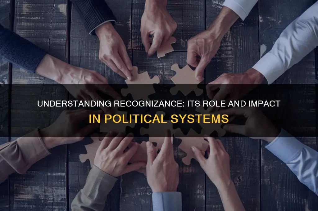 what is recognizance in politics